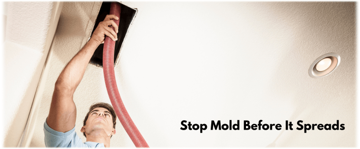 Air Duct Mold Removal in Grand Prairie
